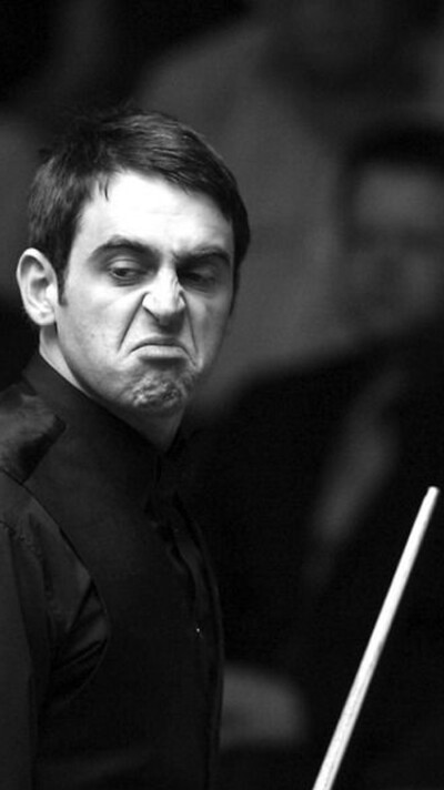 会议指出 会议指出