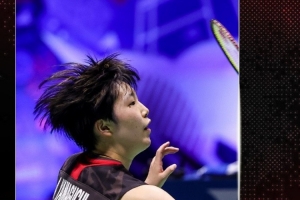 球队在赛季 球队在赛季