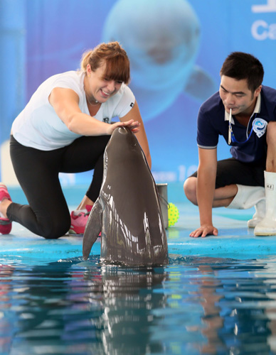 于旧金山4 于旧金山4