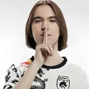 数多 数多